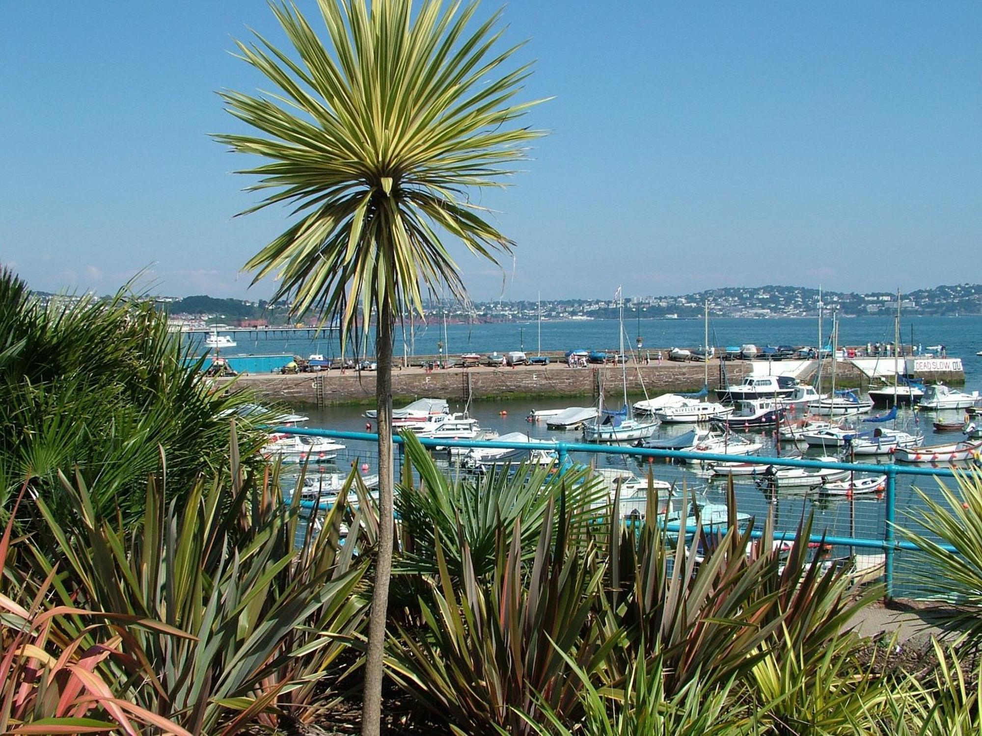 8 Belvedere Court Paignton Exterior foto
